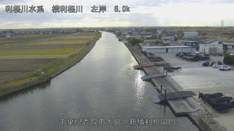 yoko2025112915_image