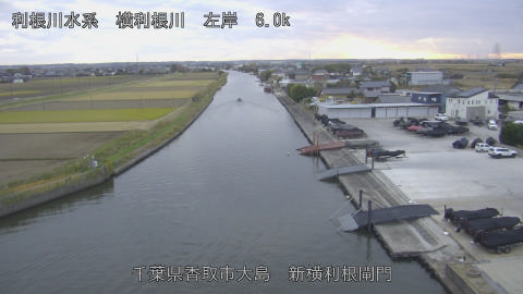 yoko2025112916_image