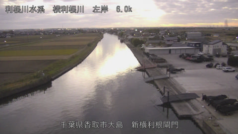 yoko2025112917_image