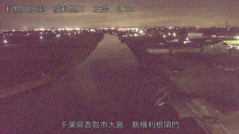 yoko2025112918_image