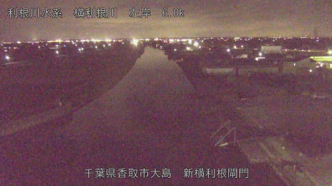 yoko2025112919_image