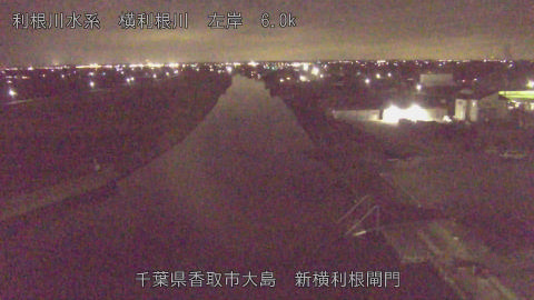 yoko2025112920_image