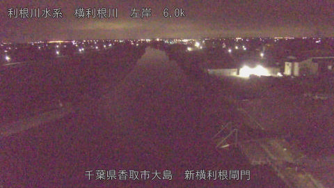 yoko2025113002_image