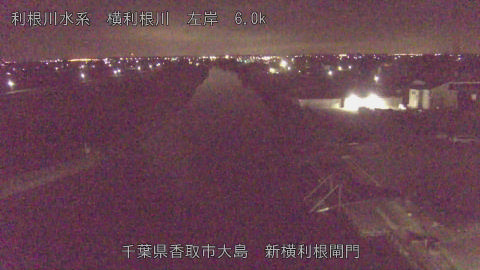 yoko2025113003_image