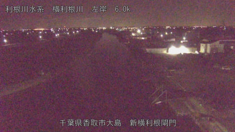 yoko2025113004_image