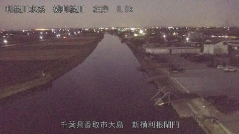 yoko2025113006_image