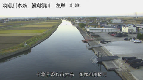 yoko2025113007_image