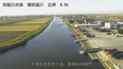 yoko2025113008_image