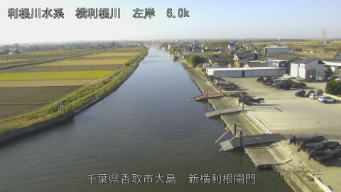 yoko2025113009_image