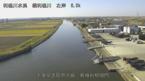 yoko2025113010_image