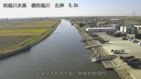 yoko2025113011_image