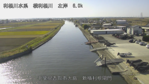 yoko2025113012_image