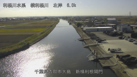 yoko2025113013_image