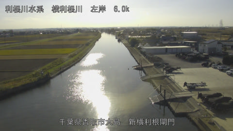 yoko2025113014_image