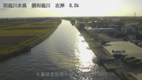 yoko2025113015_image