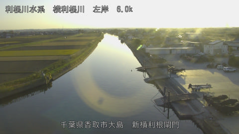 yoko2025113016_image