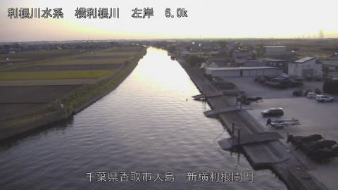 yoko2025113017_image