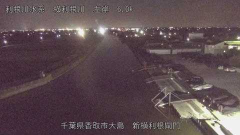 yoko2025113018_image