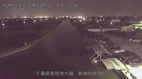 yoko2025113019_image