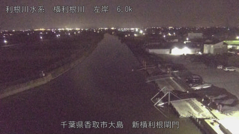 yoko2025113020_image