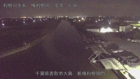 yoko2025113022_image