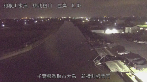 yoko2025113023_image