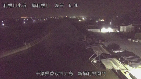 yoko2025120104_image