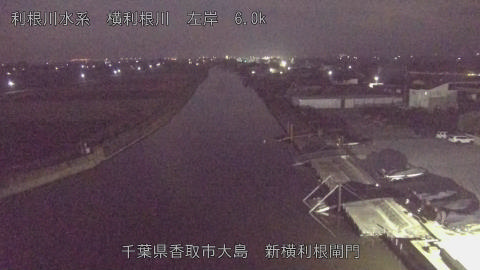 yoko2025120106_image