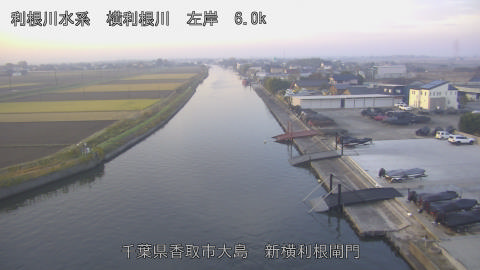 yoko2025120107_image