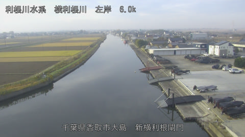 yoko2025120108_image