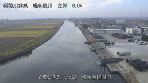 yoko2025120109_image