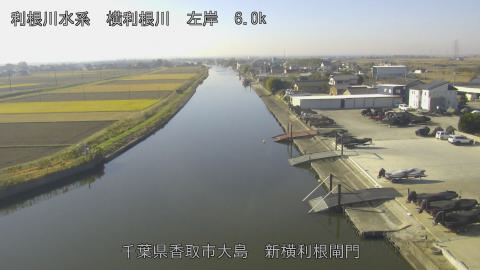 yoko2025120110_image