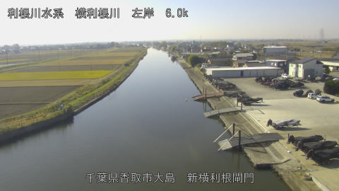 yoko2025120111_image