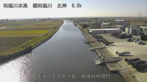 yoko2025120112_image