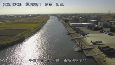 yoko2025120113_image