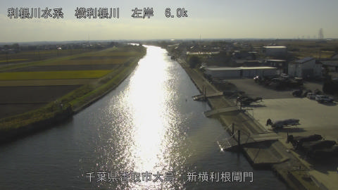 yoko2025120114_image