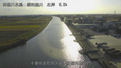 yoko2025120115_image