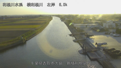 yoko2025120116_image