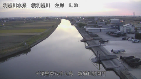 yoko2025120117_image