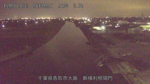 yoko2025120118_image