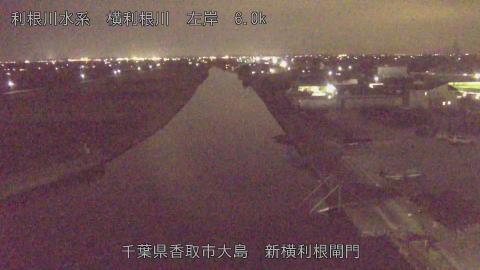 yoko2025120119_image