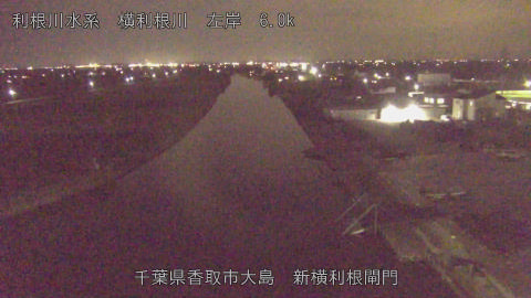 yoko2025120120_image