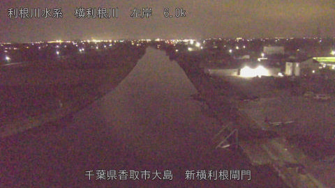 yoko2025120121_image