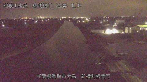 yoko2025120122_image