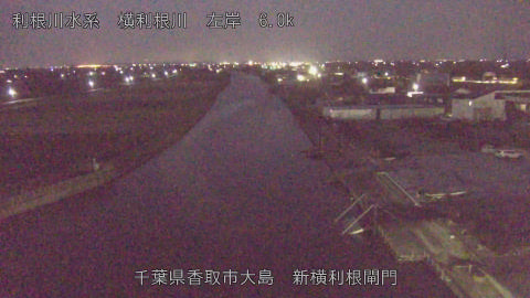 yoko2025120206_image