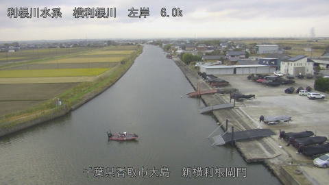 yoko2025120208_image