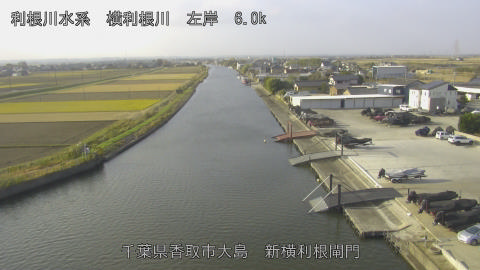 yoko2025120209_image