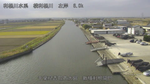 yoko2025120210_image