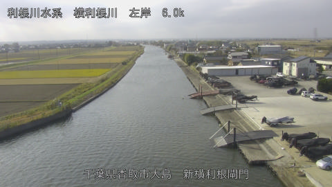 yoko2025120211_image