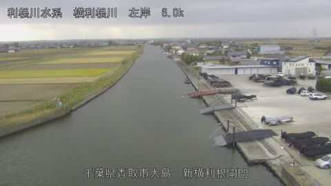 yoko2025120212_image